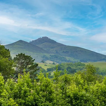 Bordazaharria *