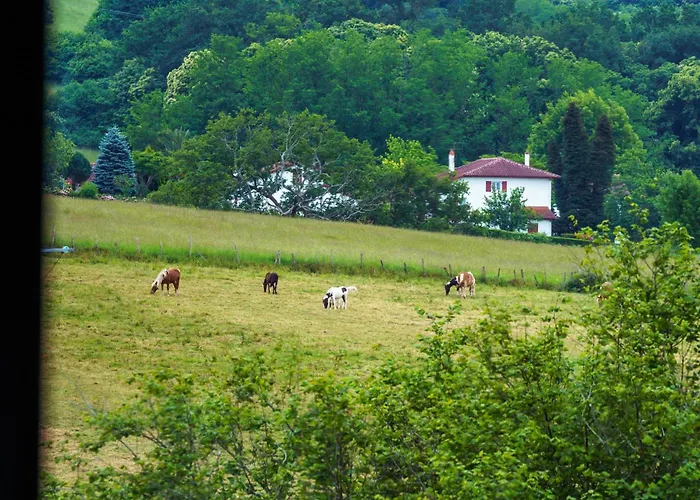度假居 Bordazaharria 埃斯珀莱特